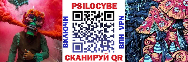 Галлюциногенные грибы Psilocybe  наркотики  Карачев 
